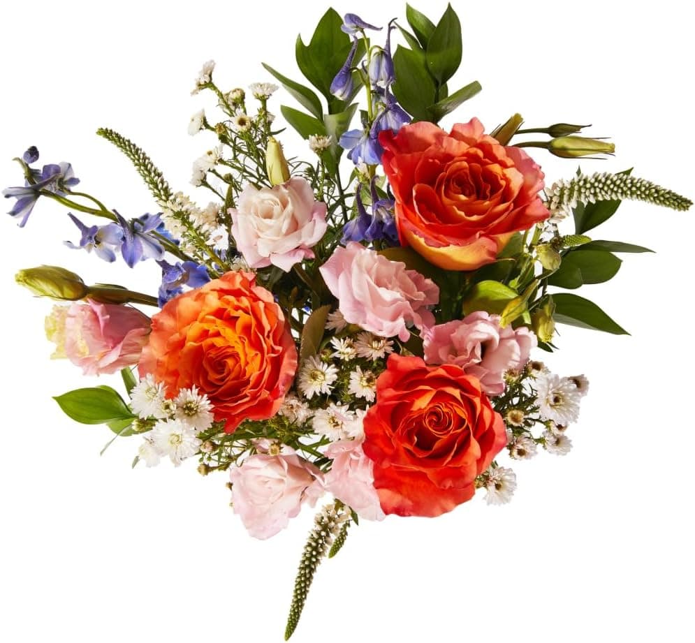 UrbanStems Same-Day Fresh Flower Delivery by urbanstems